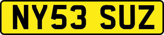 NY53SUZ