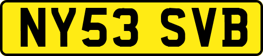 NY53SVB