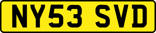 NY53SVD