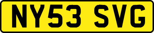 NY53SVG
