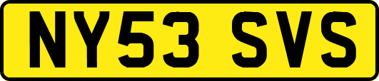 NY53SVS