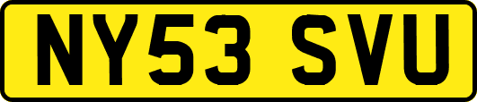 NY53SVU