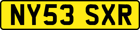 NY53SXR
