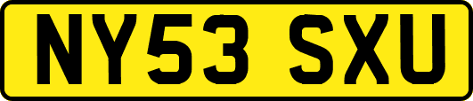 NY53SXU