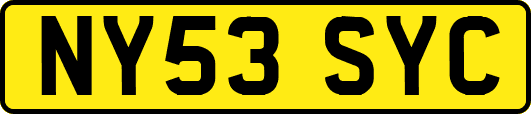 NY53SYC