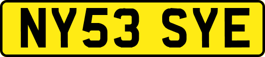 NY53SYE