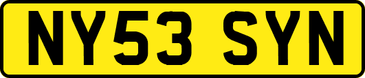 NY53SYN