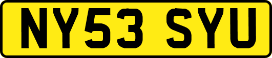 NY53SYU