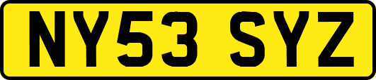 NY53SYZ