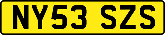 NY53SZS