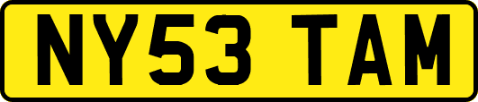 NY53TAM