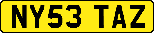 NY53TAZ