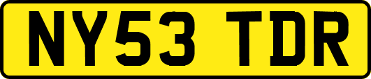 NY53TDR