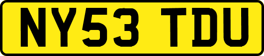 NY53TDU