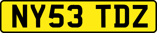 NY53TDZ
