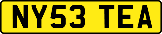 NY53TEA