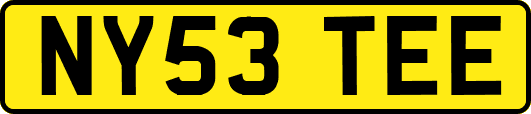 NY53TEE