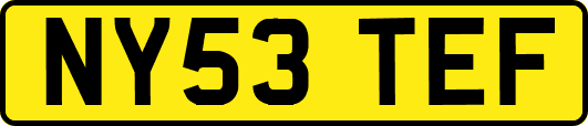 NY53TEF