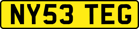 NY53TEG