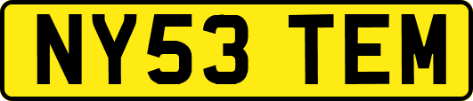 NY53TEM
