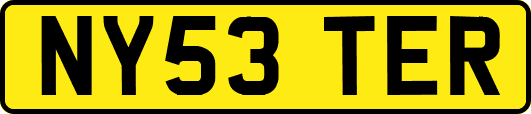 NY53TER