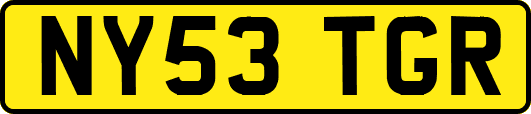 NY53TGR