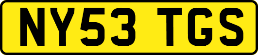 NY53TGS