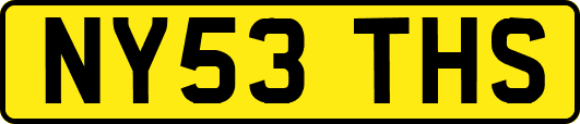 NY53THS