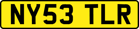 NY53TLR