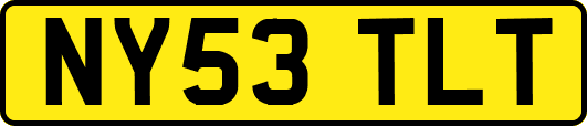 NY53TLT
