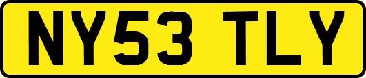 NY53TLY
