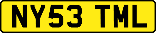 NY53TML