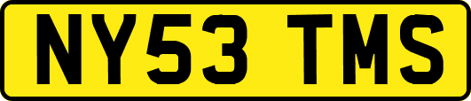 NY53TMS