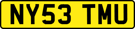 NY53TMU