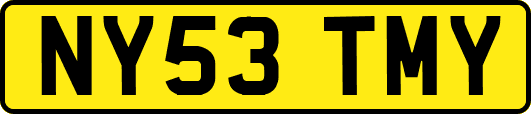 NY53TMY