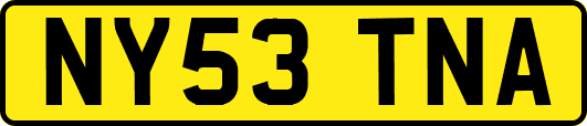 NY53TNA
