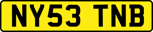 NY53TNB