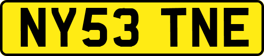 NY53TNE