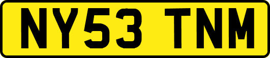 NY53TNM