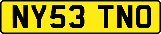 NY53TNO
