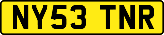 NY53TNR