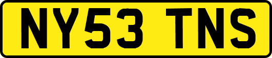 NY53TNS