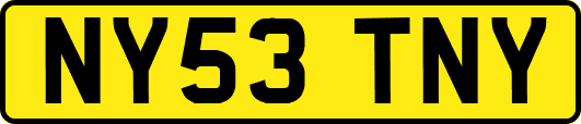 NY53TNY