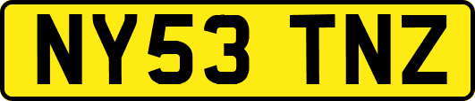 NY53TNZ