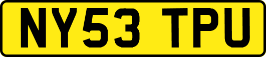 NY53TPU