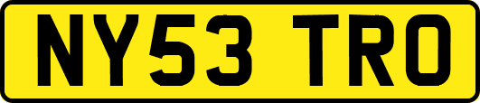 NY53TRO
