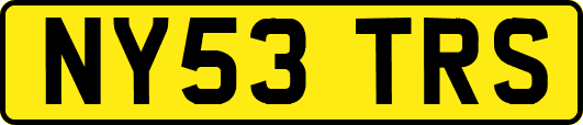 NY53TRS