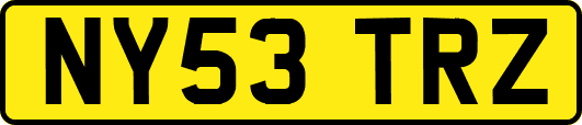 NY53TRZ