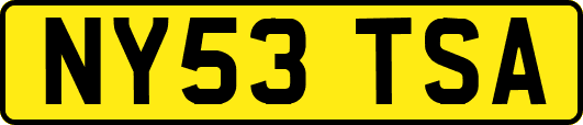 NY53TSA