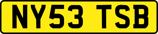 NY53TSB